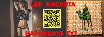 PSILOCYBIN Тулун