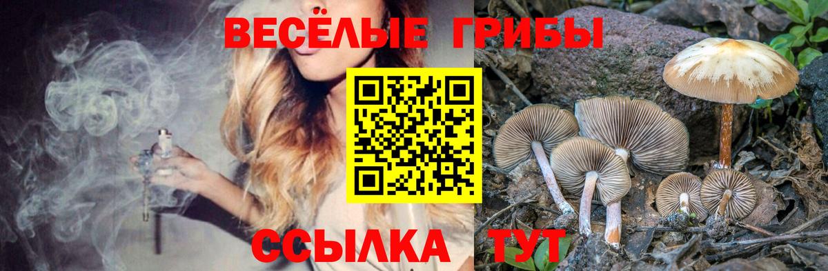 Галлюциногенные грибы мицелий  Вход с VPN  наркошоп  Киржач  Галлюциногенные грибы прущие грибы 