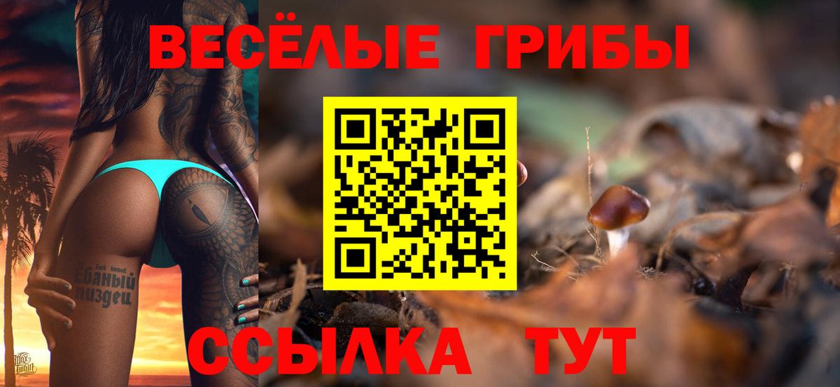 Псилоцибиновые грибы Cubensis Киржач